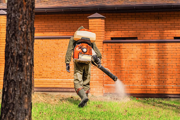 Trusted Mosquito Control service in Genoa City, WI - Nex Pest Control